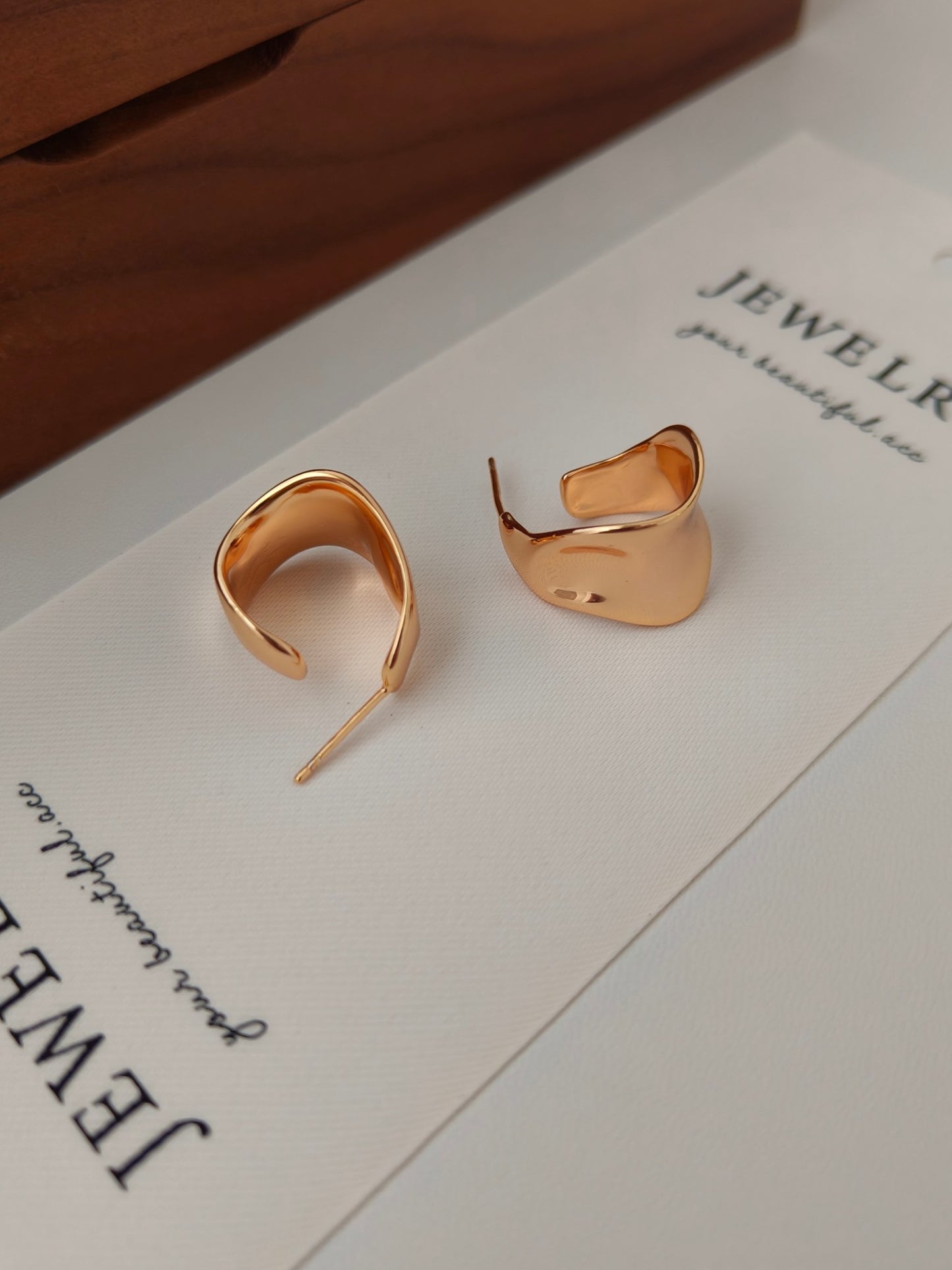 Mordern irregular shaped Earrings