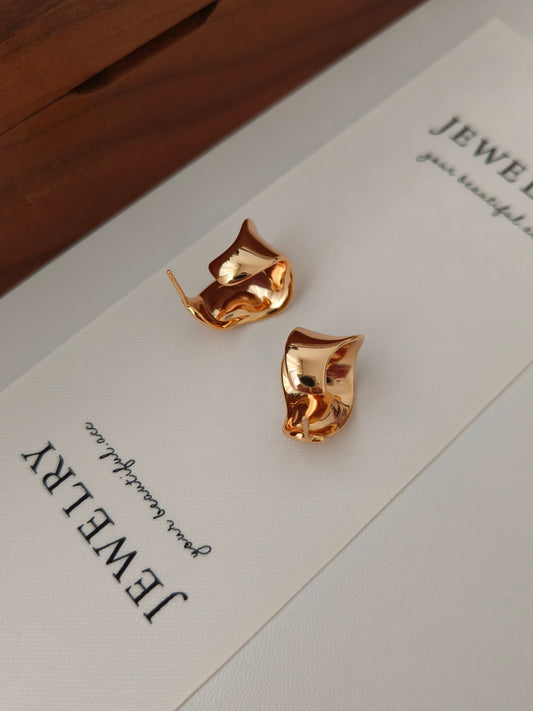 Mordern irregular shaped Earrings