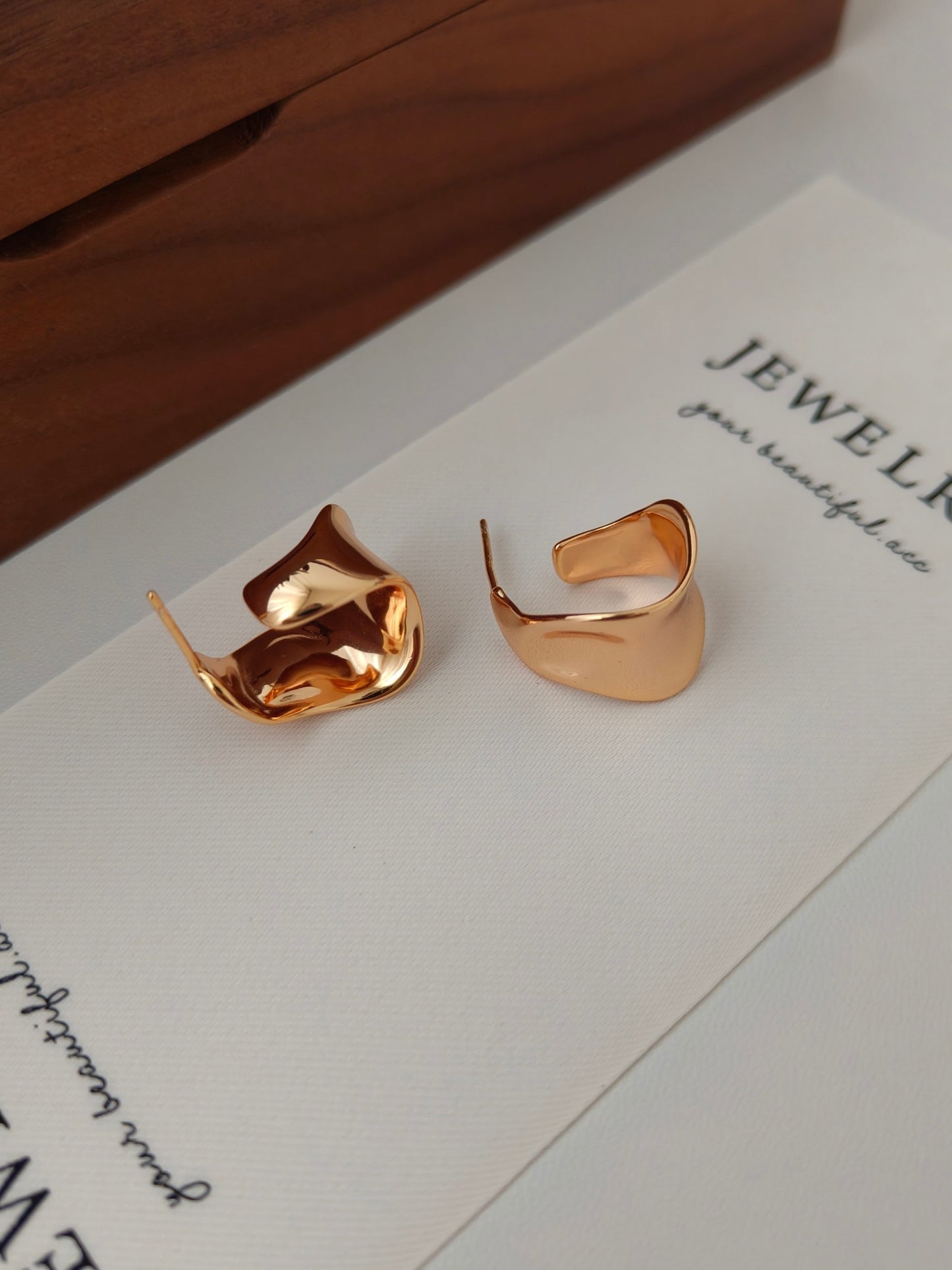 Mordern irregular shaped Earrings